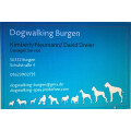 Dogwalking Spay & Umgebung