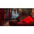 Dominastudio Revolution