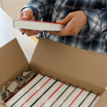 Domino Verlag Günther Brinek GmbH