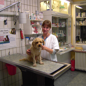 Tierarzt Steglitz