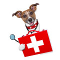 Dr. Franziska Bader-Mechler Tierarztpraxis