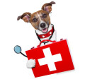 Logo Bader-Mechler, Franziska Dr.