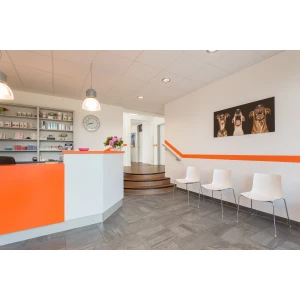 Dr. Hauke Thumann Tierärztliche Praxis