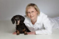 Logo Holz, Ines Dr.