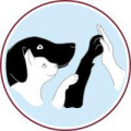 Logo Sommer, Katja Dr.