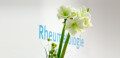 Logo Pittius, Claus-Walter Dr. med.