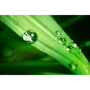 Dr. med. Volker Stolzenbach Facharzt für Orthopädie Privatpaxis