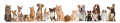 Logo Dr. Kaulfuß / Schuh GbR Inh. Patricia Kaulfuß