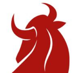 Logo Dr. Walter Burger & Partner Steuerberatungsgesellschaft