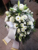 Bild: Dresdner Blume