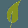 Logo Frank, Gunnar Dr.med.