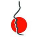 Logo Riedmann, Thomas Dr.med.dent.