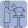 Bild: Dr.med.vet. Andreas Kirsch Fachtierarzt für Innere Medizin