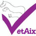 Logo Richter, Kerstin Dr.med.vet.