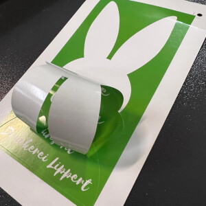 Hasen Kisscut Ohren Durchsicht.jpg