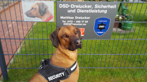 Sicherheitsdienst_Security