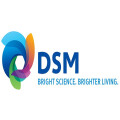 DSM Germany GmbH