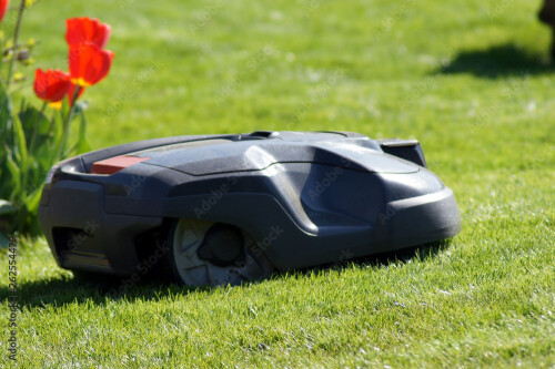 Mähroboter2.jpeg