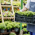 Ecoflora Gesellschaft zum Vertrieb von Gartenbau- erzeugnissen mbH