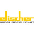 Elischer Bauunternehmen GmbH