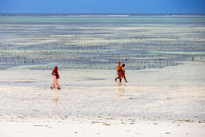 Beachlife Zanzibar