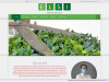 Bild: ELSI Gartenservice