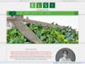 Bild: ELSI Gartenservice in Berlin