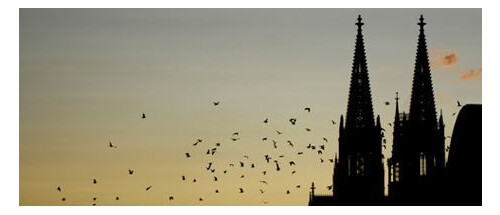 Stadtführungen durch Köln für Kinder, Jugendliche und Erwachsene(fotonia-Fotolia.com)