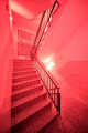 Bild: Eroscenter 55 in Frankfurt am Main