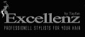 Logo Excellenz by Tayfun