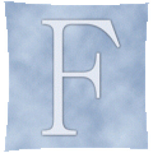 FAHN Wirtschaftsprüfer in München