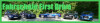 Bild: Fahrschule First Drive