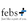 febs Consulting GmbH Finanzdienstleistungen