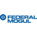 Federal-Mogul Nürnberg GmbH