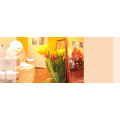 feelgoodsalon