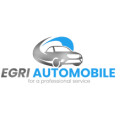 F.Egri Automobile