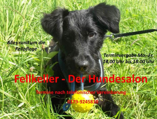 Fellkeller in Niederselters