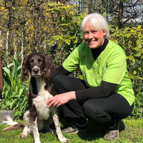 felmo Mobiler Tierarzt Hannover