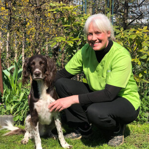 felmo mobiler Tierarzt Stuttgart