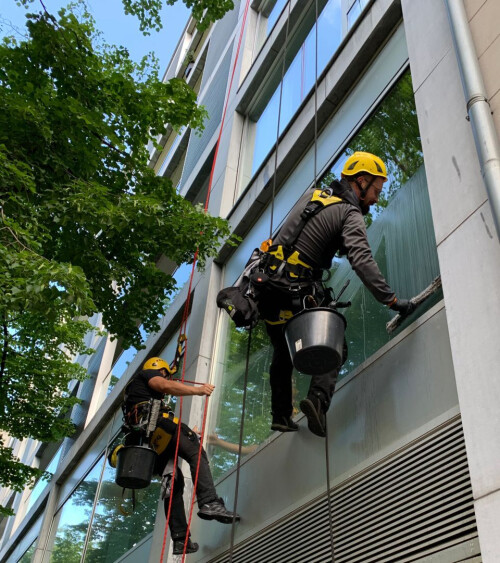 Fensterreinigung als Industriekletterer