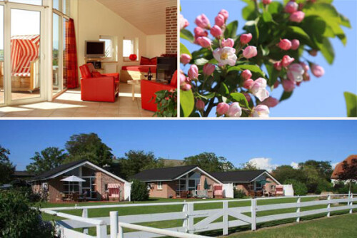 Bauernhof Haltermann 5-Sterne Ferienhäuser auf Fehmarn