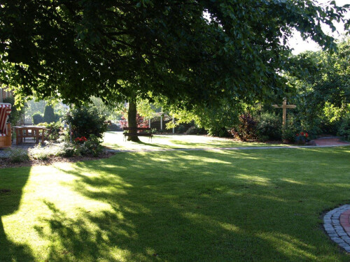 Garten in der Morgensonne