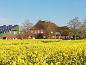 Ansicht Haus Rapsfeld
