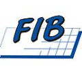 FIB Team f. Fortbildung Information u. Beratung GmbH