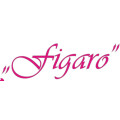 Figaro Salon Annett