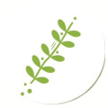 Filixart Florale Werkstatt