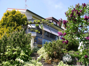 Büro Ailingen