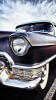 Bild: Firma Aktiv Taxi