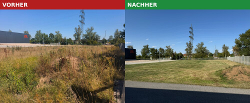Vorher_Nachher_Maeharbeiten_Umgedreht.jpg