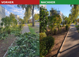 Vorher_Nachher_Gruenanlage2.jpg